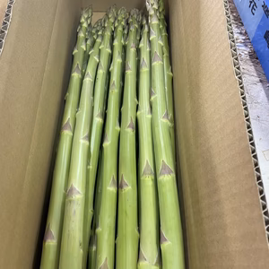 期間限定‼️はなまる農園こだわりさぬきのめざめロング50センチ　煌極み