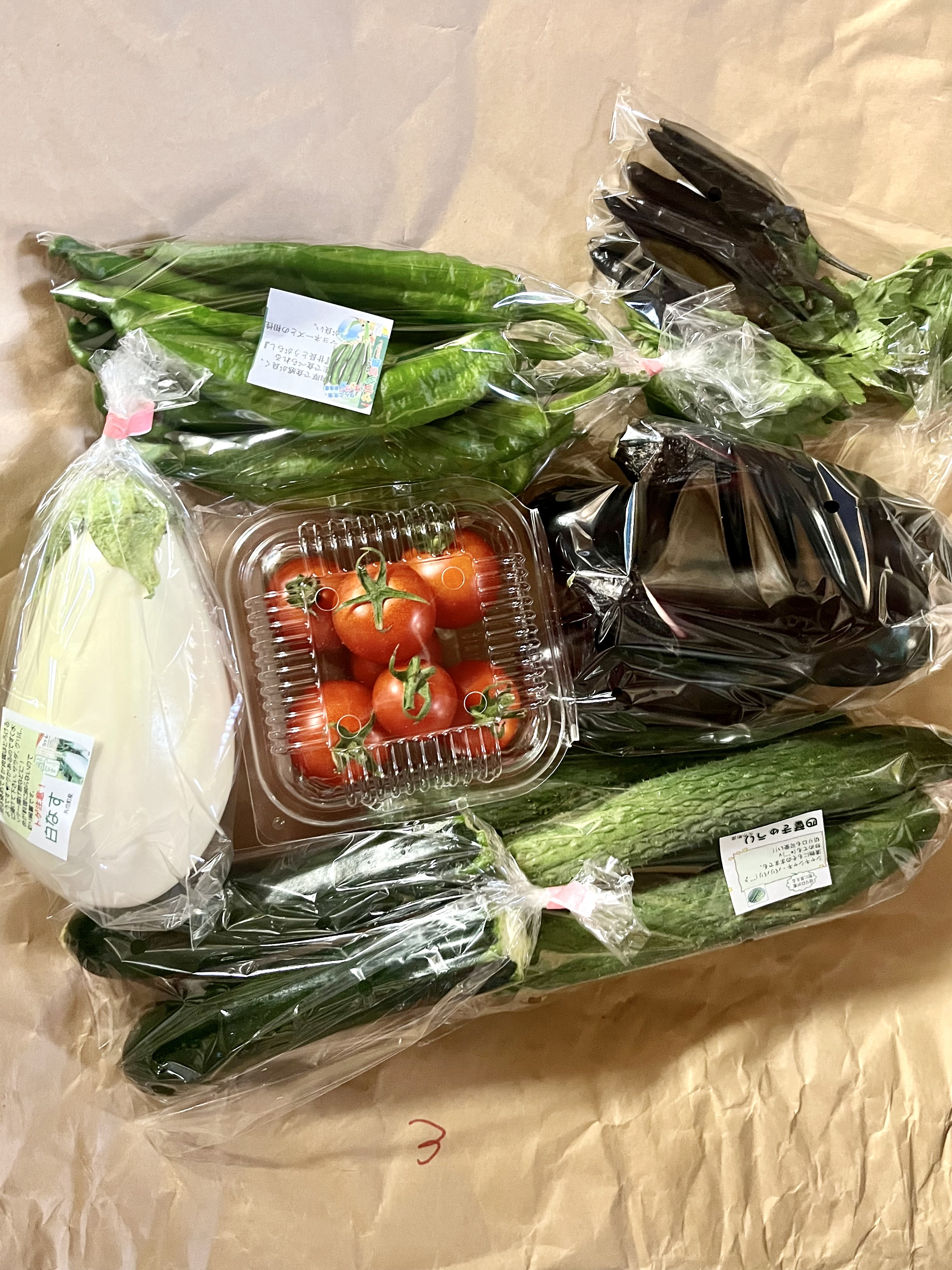 初夏の小さなおまかせ野菜セット 野菜3種類程度