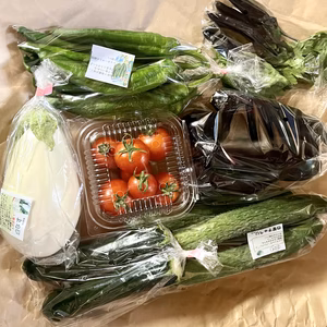 初夏の小さなおまかせ野菜セット