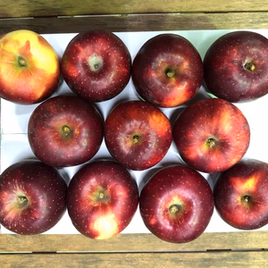 【りんご】福島県オリジナル品種！酸味が美味！「べにこはく3ｋｇ」（フリーサイズ）