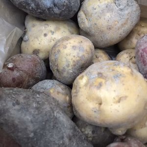 〈新・新セット〉常備野菜の王道♬じゃが芋・玉ネギセット♡