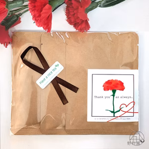 母の日プチギフト｜３種のさやま茶ティーバッグセット《緑茶・和紅茶・焙じ茶》