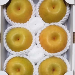 樹上完熟和梨「幸水」クール便【もぎたて直送】