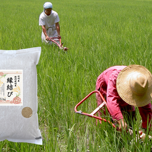 《玄米》 信州産 特別栽培米『縁結び』大粒の品種です！令和4年産