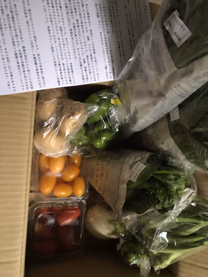 みんなの投稿の画像