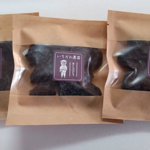 【全国送料一律】果物農家がつくった贅沢な干しぶどうです(無添加ドライフルーツ)