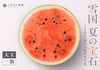 【7月下旬より発送開始】とにかく甘い！プレミアム大玉八色産スイカ「こまがた家の八