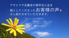 令和6年1月製造　パッと使える！菊芋パウダー 毎日の炊飯、お味噌汁に高知県産　