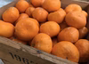 和歌山産　蔵出し　みかん　大玉・超大玉