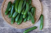 フードロス削減！訳あり旬野菜お得なつめあわせセット