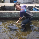 池田駿介 | 有限会社あづま養魚場