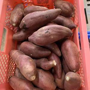 訳あり特別価格　紅あずまL5キロ　限定10箱　変色