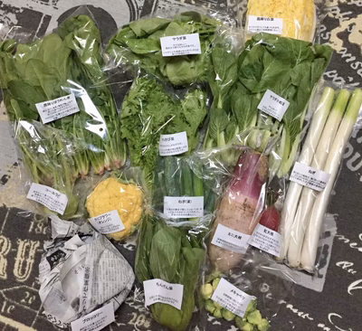 みんなの投稿の画像