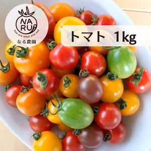 カラフルトマト【農薬・化学肥料不使用】カラフルトマトを合計1kgセット