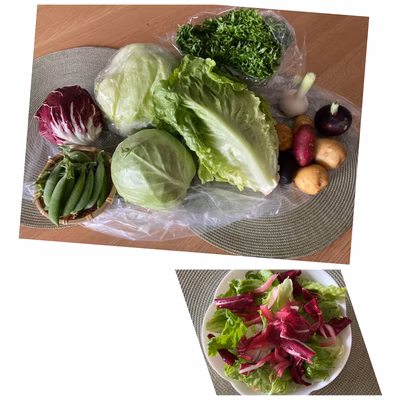 みんなの投稿の画像