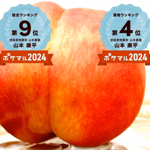 ７月発送予約【糖度13度以上桃】”甘っ！”感動桃【超人気商品】