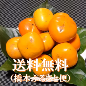 ※見た目が悪い【訳あり品】です　たねなし柿(刀根早生・ひらたね)