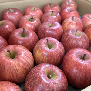 甘さ濃厚‼️山形県産サンふじ【秀5キロ】熨斗対応致します