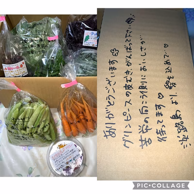 みんなの投稿の画像