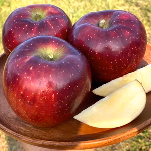 【先行予約】『秋映』 家庭用✨シャキッと食感！味も色も濃い秋のりんご！