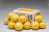【7kg】家庭で楽しむ高知の春の味覚！土佐文旦