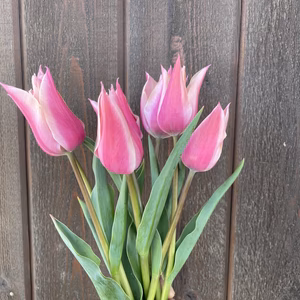 季節のオーガニックフラワーの花束　球根付きチューリップと旬のお花セット