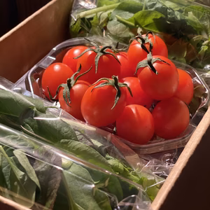 【超一流レストランで修業したシェフのレシピ付】糖度の高いミニトマト！