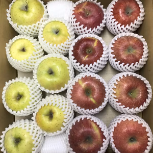 青森県産サンふじ・王林 ハーフ 約5kg 家庭用　きずあり【光センサー選果】 