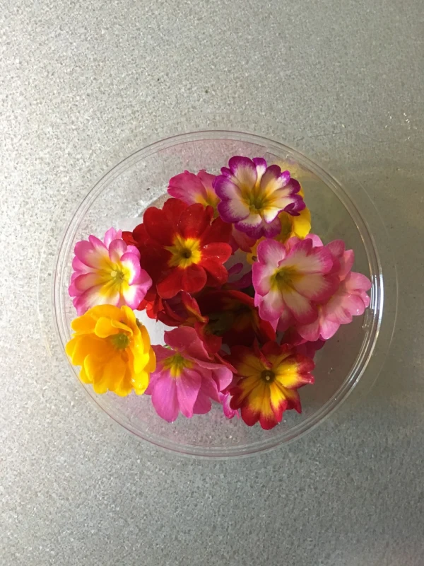 エディブルフラワー（食用花）プリムラ 1パック