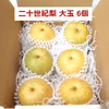 【良品大玉】二十世紀梨６個箱入