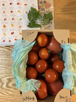 みんなの投稿の画像