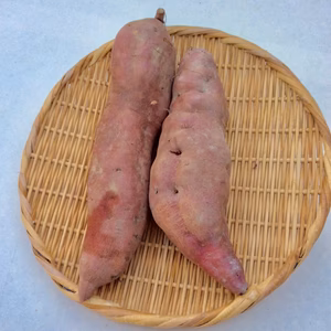 サツマイモ 金時 大サイズ   農薬・化学肥料”不使用“