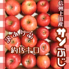 11月中旬〜【訳あり品●信州上田産りんご・サンふじ】約15kg 農カードつき