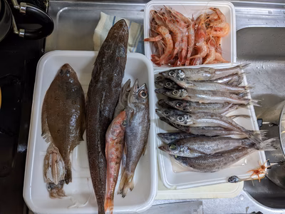 みんなの投稿の画像