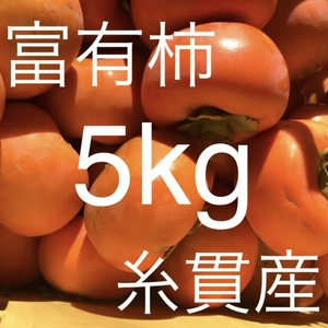 今が旬‼️富有柿5kg詰め合わせ⭐️産地直送