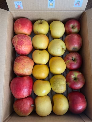 みんなの投稿の画像