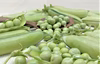 ほんまかいな？　糖度15度の「うすい豌豆」