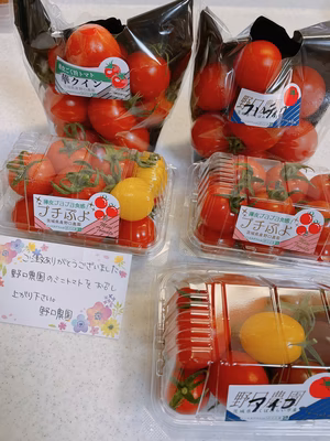 みんなの投稿の画像