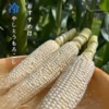 糖度20度超え!白いとうもろこし「雪やこんコーン」