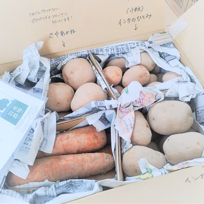 みんなの投稿の画像