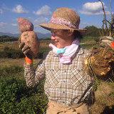 山中千佳 | Kyoukan Farm