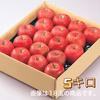 山形県産！　サンふじ！　！　5kg  、10キロ　　贈答用