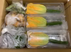 全部❗️花ズッキーニ‼️18本入り❗️