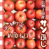 11月中旬〜【訳あり品●信州上田産りんご・サンふじ】約10kg 農カードつき