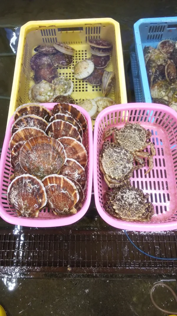 青森県むつ湾ホタテとトゲクリ蟹セット