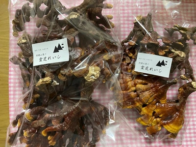 を安く買 岩櫃山麓の鹿角霊芝 乾燥100g - 食品