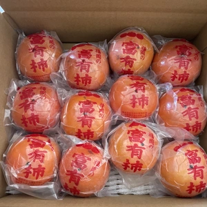 福岡県の冷蔵柿【富有】Lサイズ　12個(クール便)