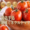 【2026年6月予約】100年の伝統が生んだ完熟濃厚大玉『潮風ミネラルトマト』