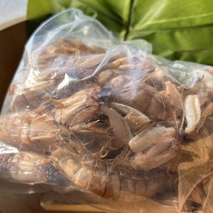 塩茹で済みシャコ　300g袋詰め　宇和島豊後水道産　宇和島漁師直通