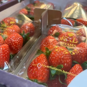 食べ比べいちご【いばらキッス・やよいひめ・ひたち姫】